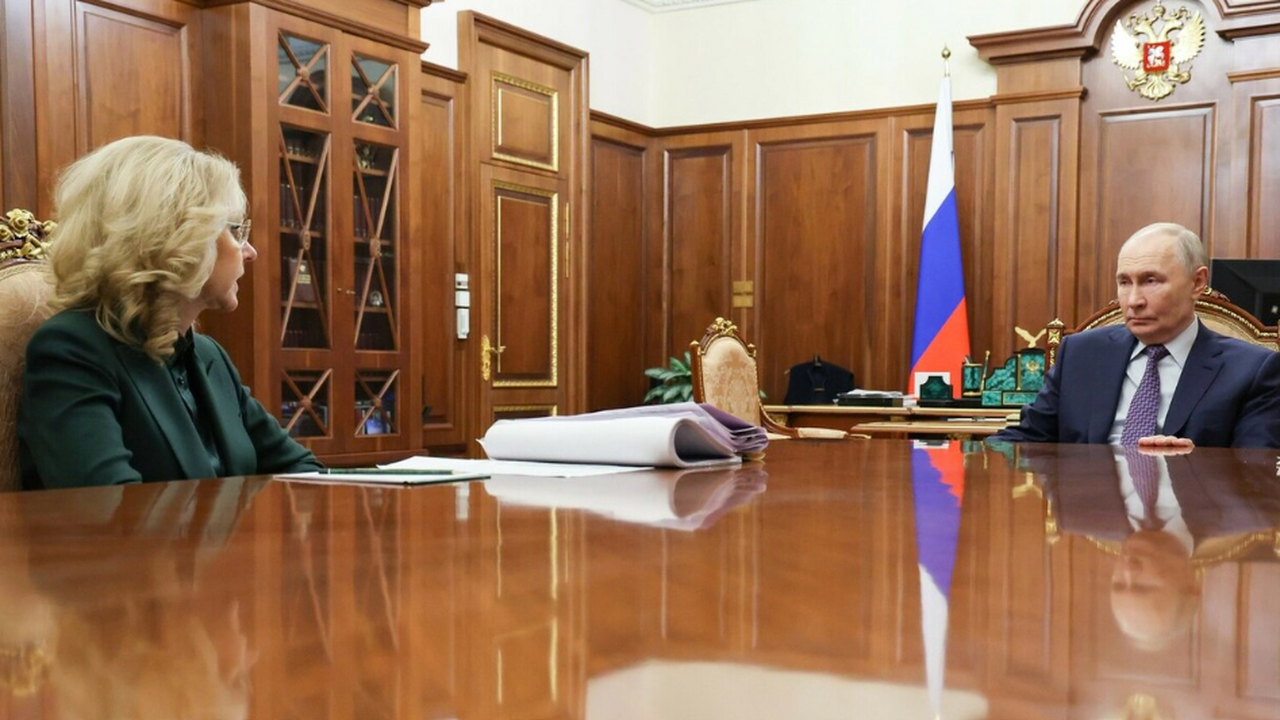 На встрече с президентом Татьяна Голикова предс...