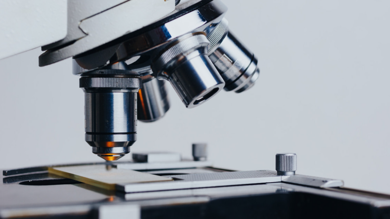 В Калининграде стартует крупное научное исследо...