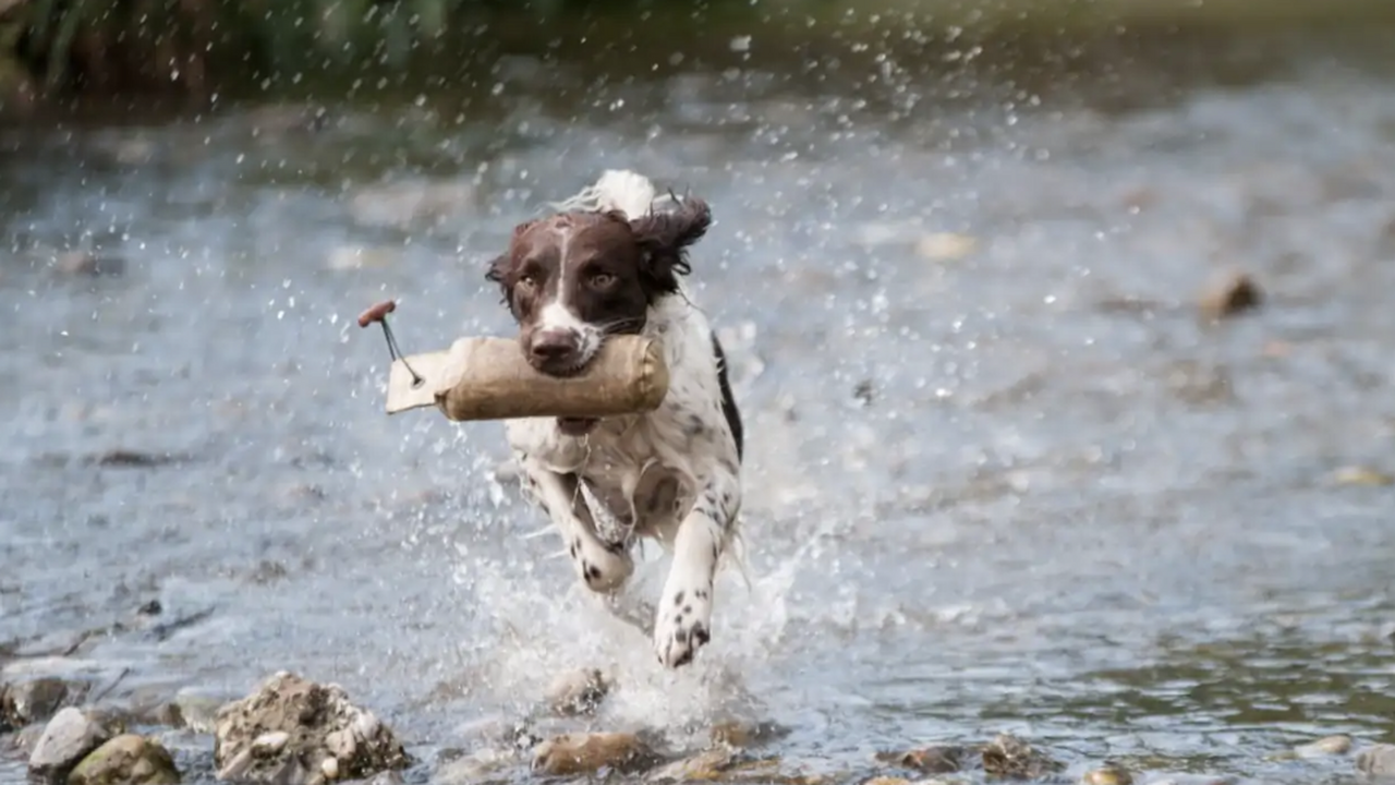 В США следователи смогли установить личность же...