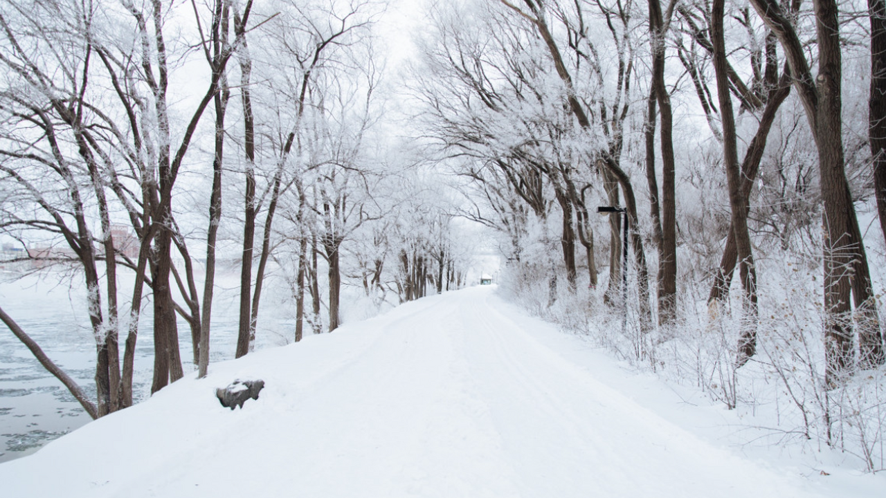 Вильфанд предупредил москвичей об отсутствии экстремальных холодов этой зимой В предстоящем холодном сезоне жители Москвы мог...