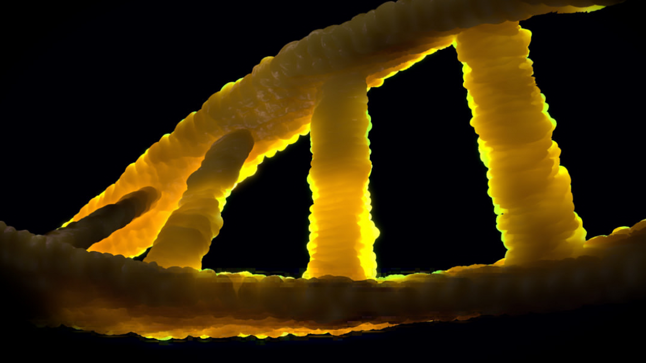 Новое генетическое исследование позволило выяви...