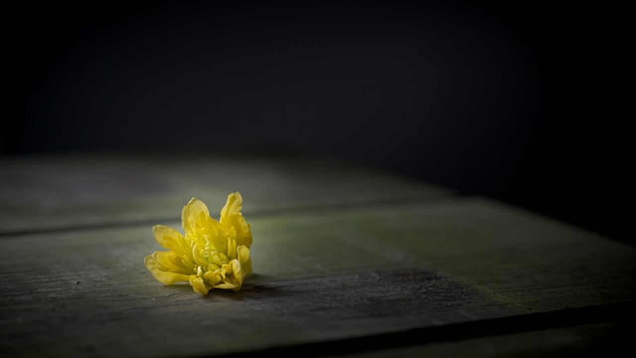 Сторонники нумерологии считают, что цифры в дат...