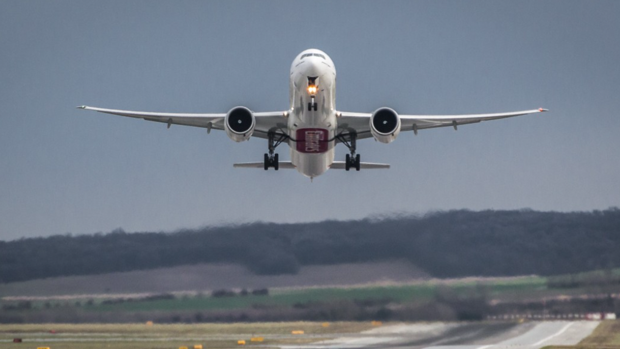 Британская семья попыталась провезти тело умерш...