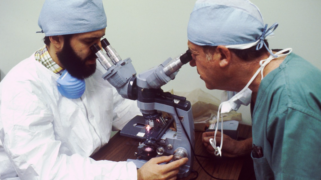 Ученые НГУ создают ИИ-системы для распознавания опухолей и туберкулёза Исследователи Новосибирского государственного у...