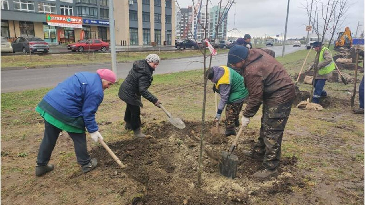 В Ульяновске создадут новый сквер и аллею памяти В Ульяновске планируется масштабное озеленение ...