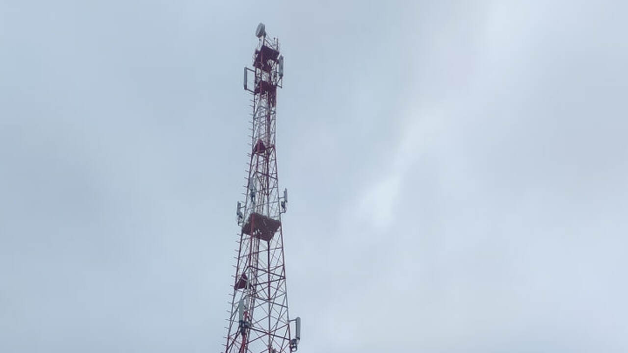 МТС добавила LTE-скорости на родине советского футболиста в Ульяновской области МТС обновила мобильную сеть и запустила дополни...