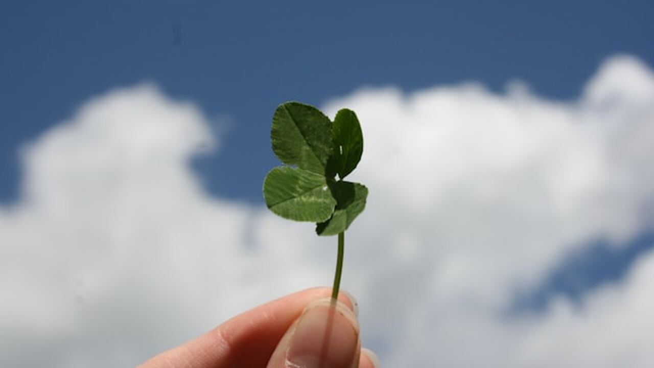 Водолеи получат шанс начать заново с 8 апреля — предостережение от Володиной С 8 апреля 2026 года для Водолеев откроется нов...