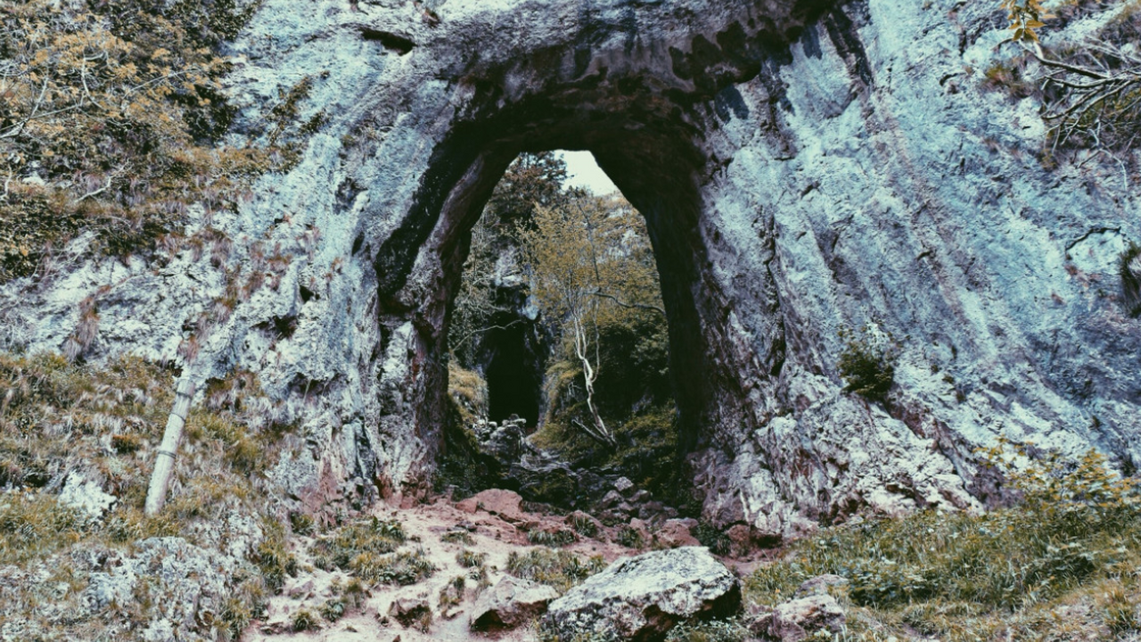 В Чехии найдена археологическая находка, способ...