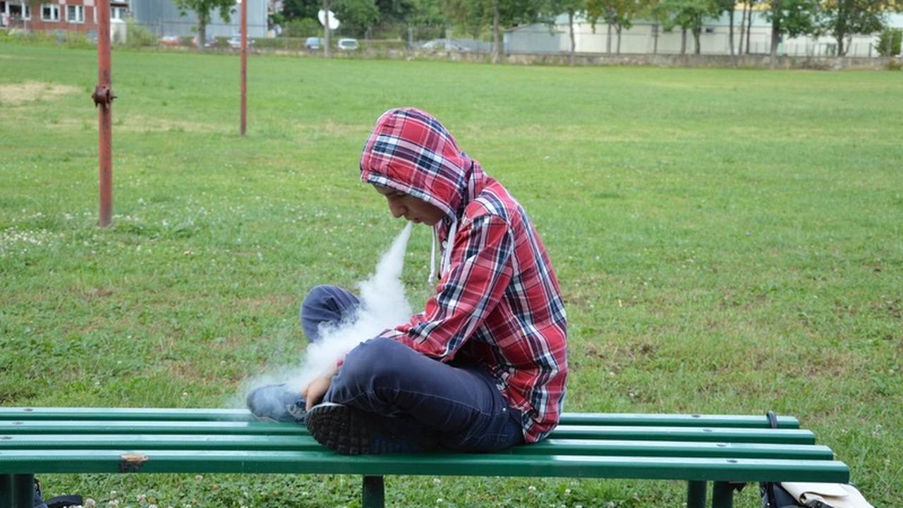 В Ульяновской области готовят полный запрет вейпов Региональный парламент Ульяновской области расс...