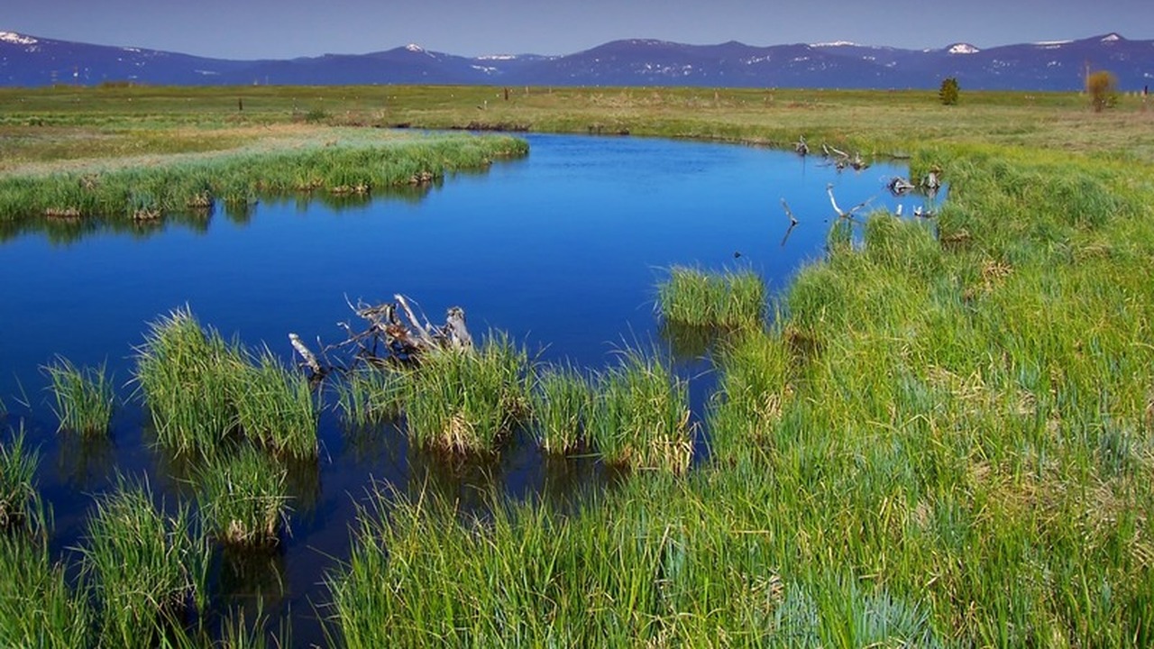 Два очистных комплекса в Новоульяновске, один и...