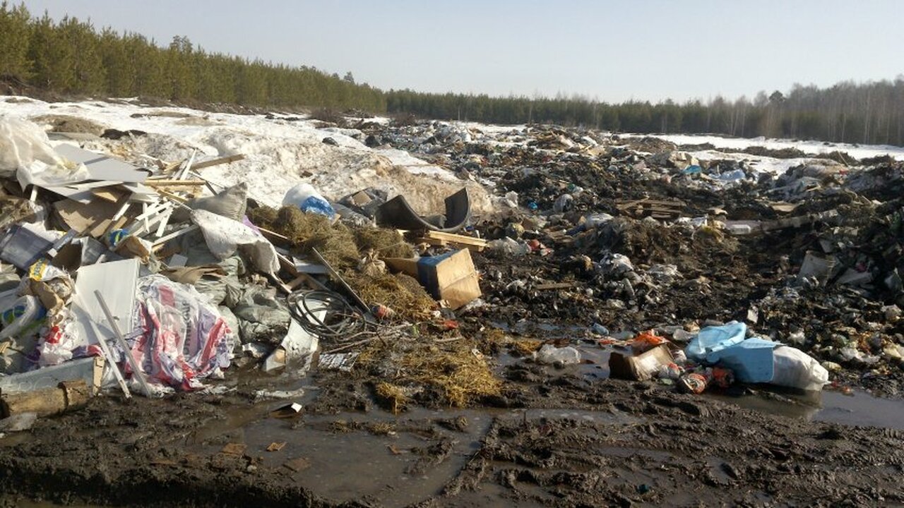 Свалка в Новоспасском районе ликвидирована по предписанию Россельхознадзора В Новоспасском районе Ульяновской области прове...
