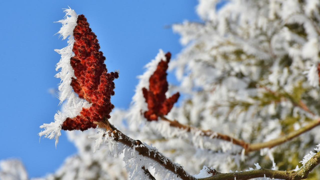 Российские синоптики прогнозируют необычную вес...