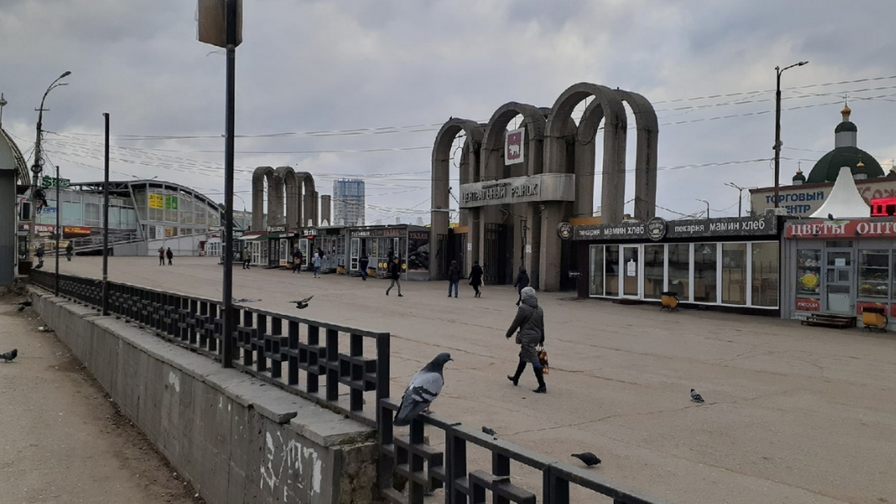 По прогнозам синоптиков, ноябрь 2025 года в Рос...