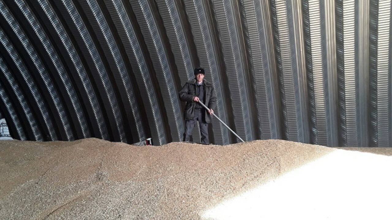 Ульяновская область начала экспорт пшеницы в Армению Первая партия мягкой продовольственной пшеницы ...