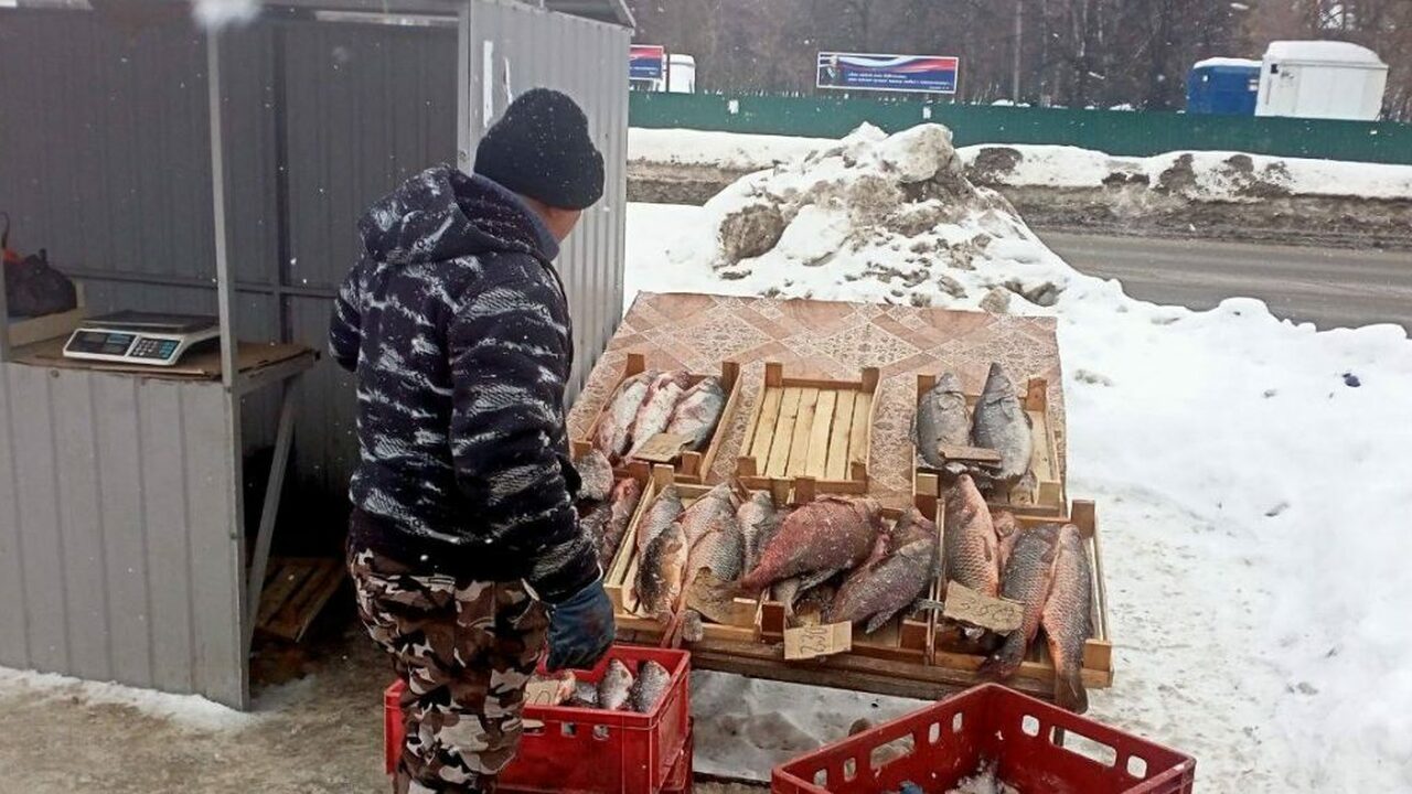 Работы по выявлению и пресечению несанкциониров...