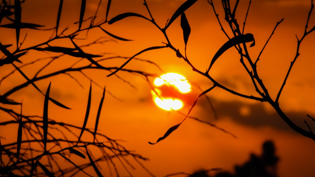 Корональные дыры на Солнце будут вызывать магни...