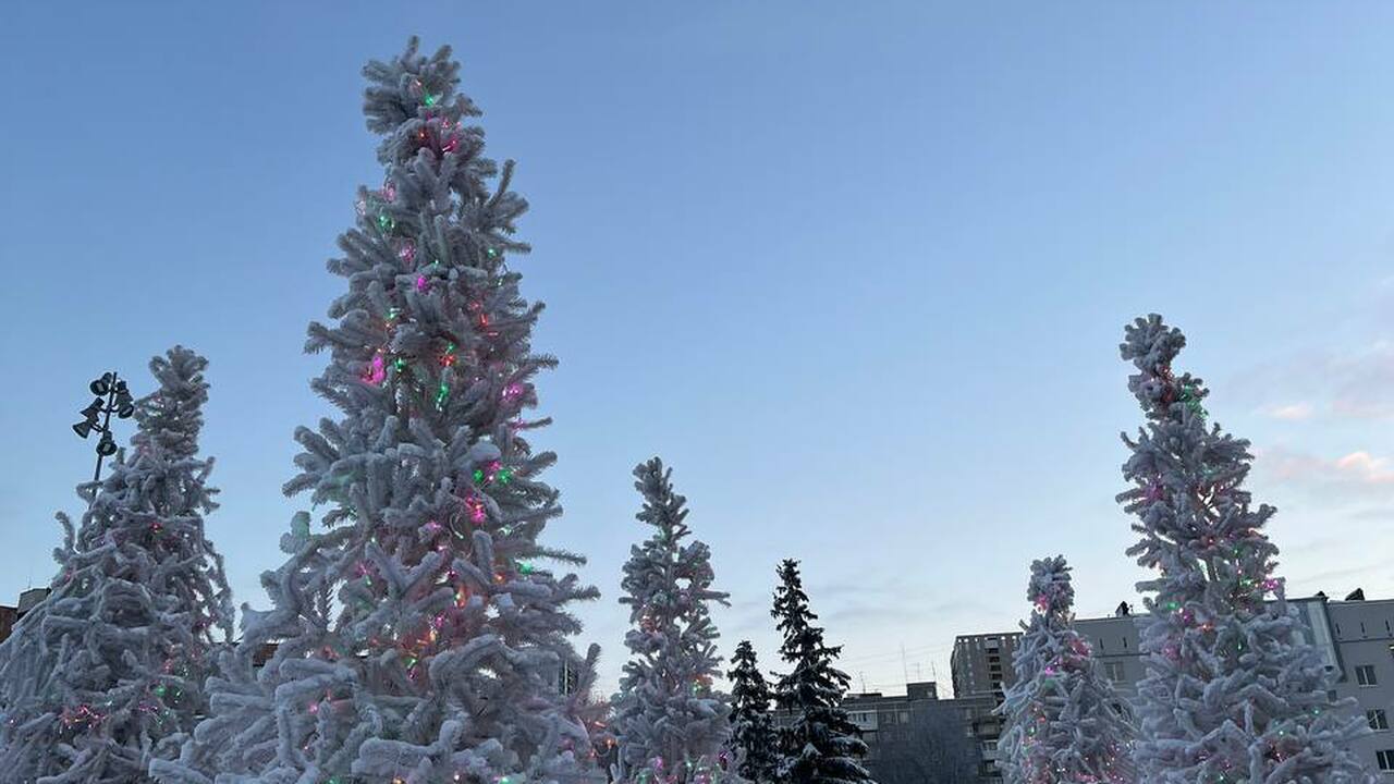 Не мороз, а похуже: зима 2025-2026 будет теплая и непредсказуемая - как подготовиться Тёплая зима — это не про комфорт, а про непредс...