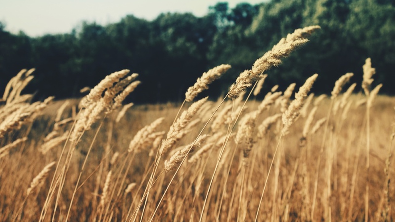 Международная группа ученых обнаружила в геноме...