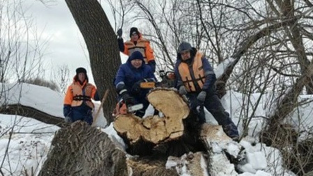 В районе Вырыпаевки в Ульяновске обнаружили опа...