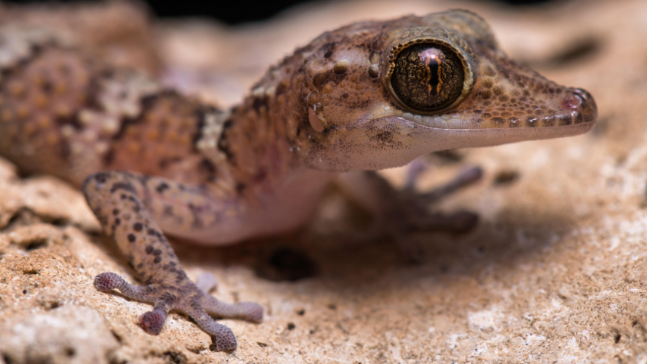 Международная команда исследователей совершила ...