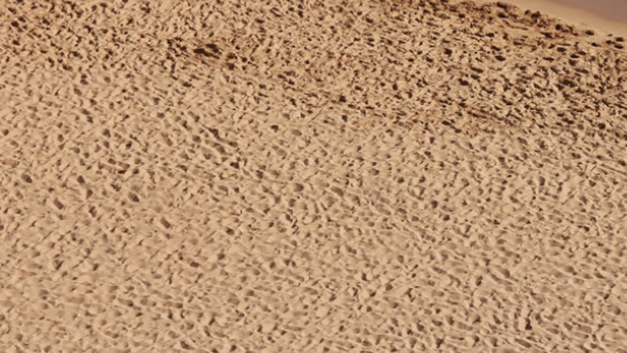 Почему стоит посыпать песком коврики в машине зимой: способ, который спасает от скольжения и грязи Зимой коврики в автомобиле быстро покрываются в...