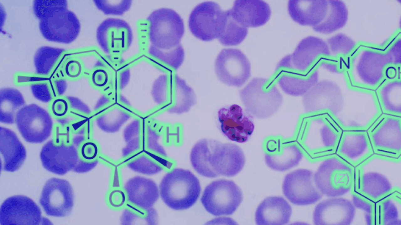 Всемирная организация здравоохранения провела п...