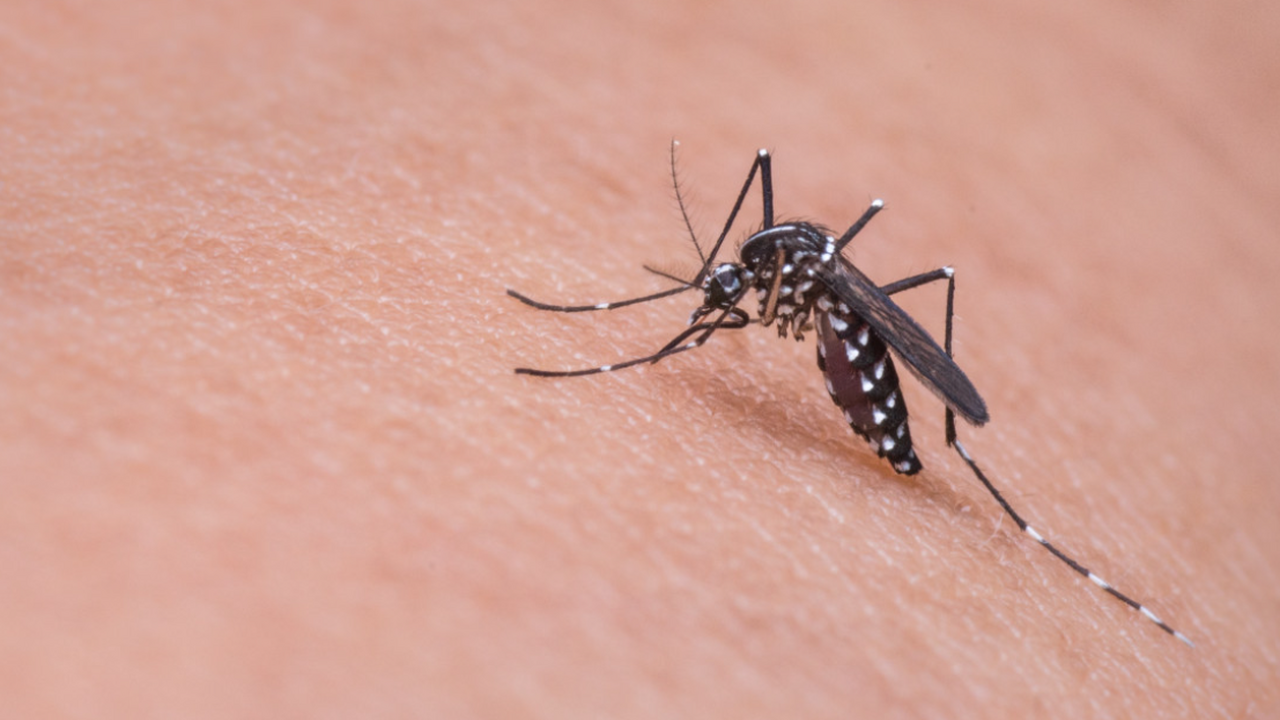 В России зафиксирован второй подтверждённый слу...