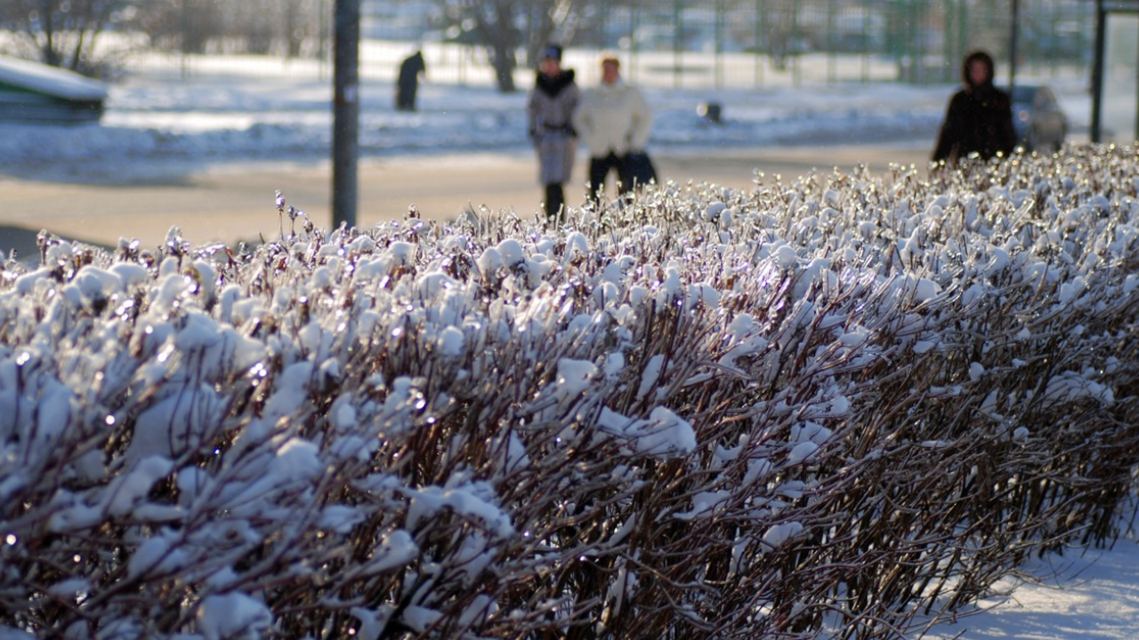 Метеорологи прогнозируют нестабильный апрель с ...