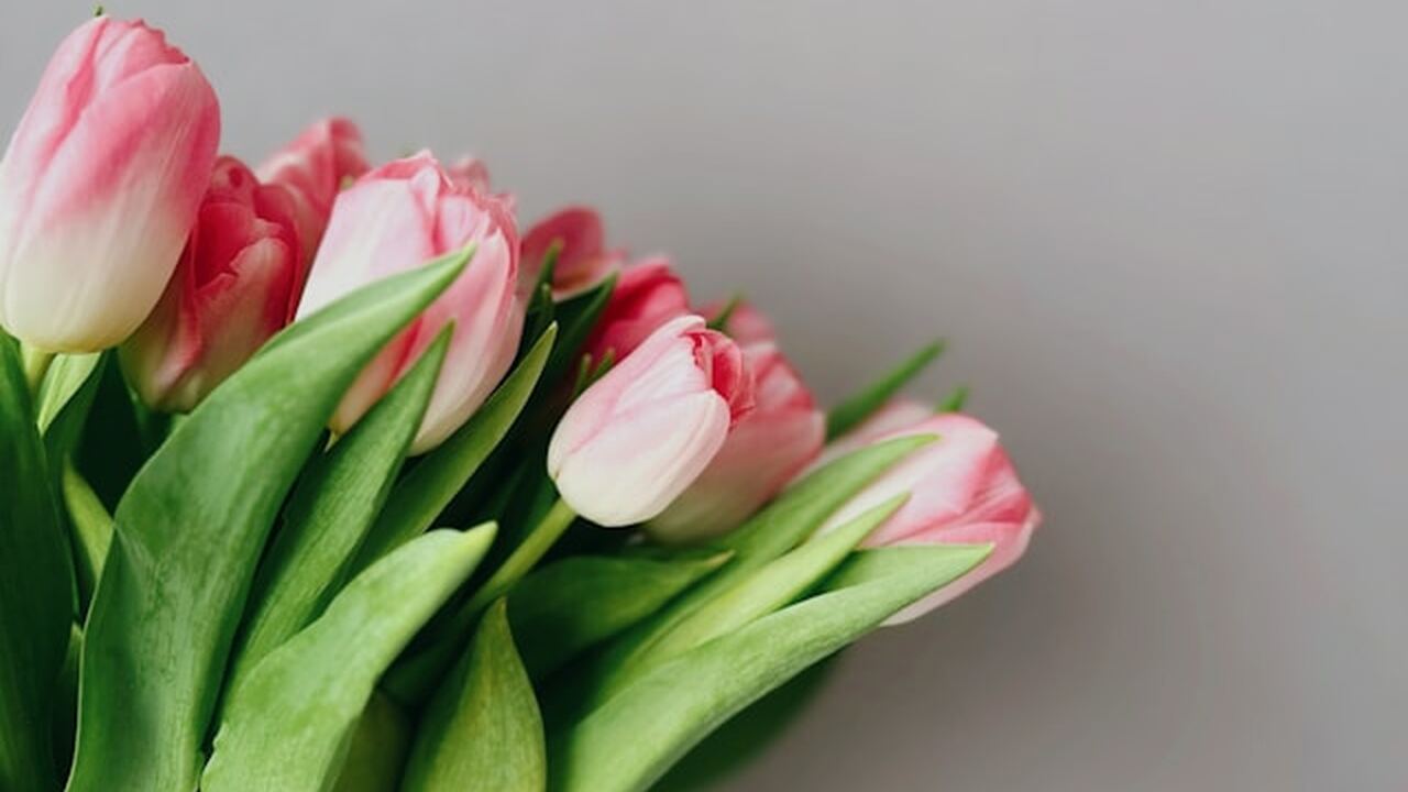 К Международному женскому дню в Ульяновске заве...