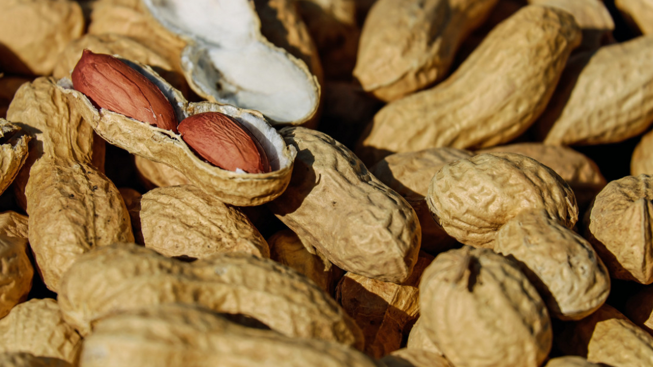 Исследователи из Маастрихтского университета ус...