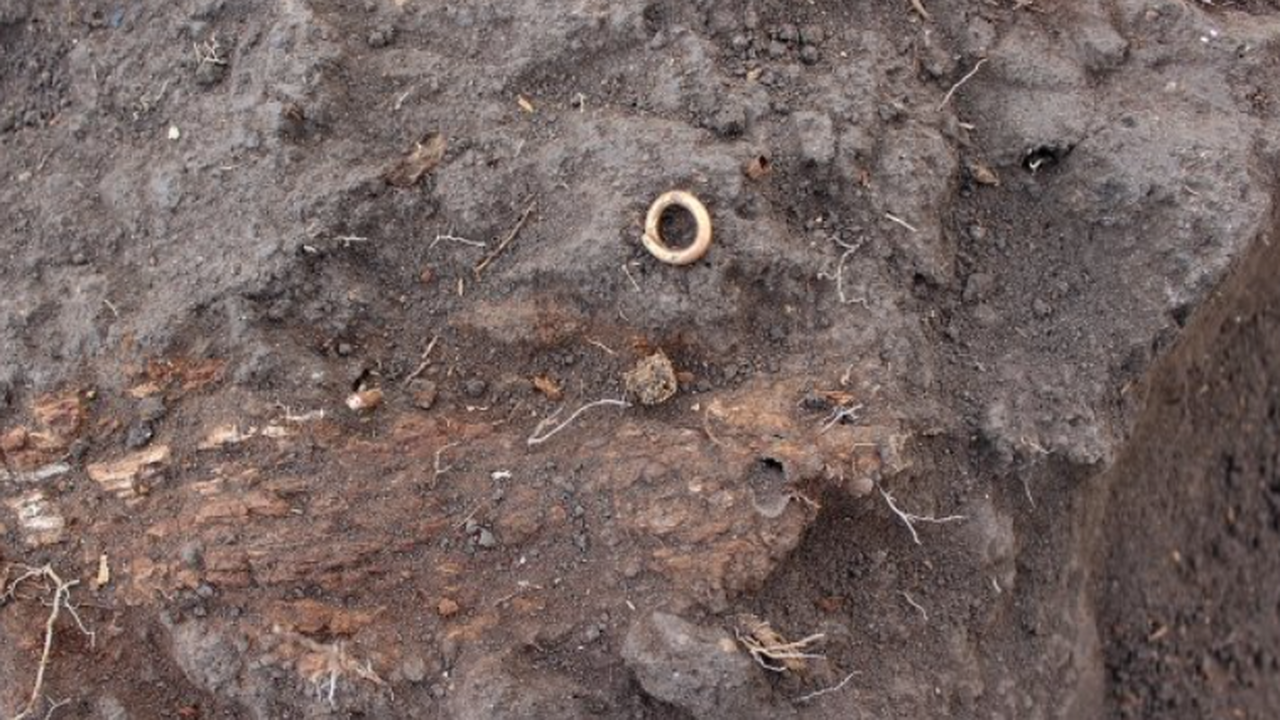 Российские ученые повторно исследовали человече...