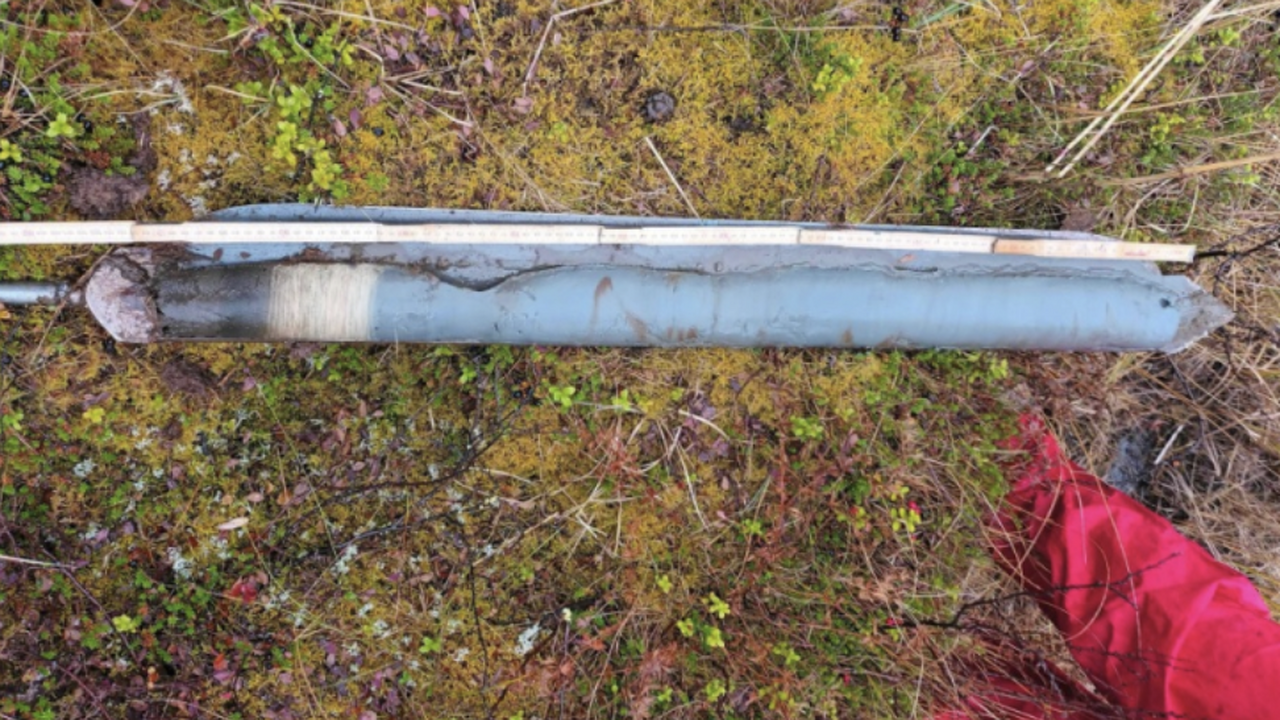 Генетики проанализировали образцы донных отложе...