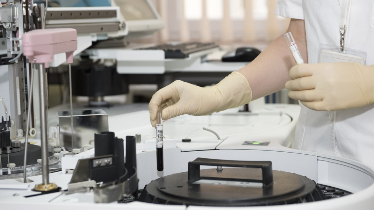 Ученые нашли ключ к омоложению иммунитета с помощью РНК-терапии Международная группа учёных из MIT (США) и Герм...