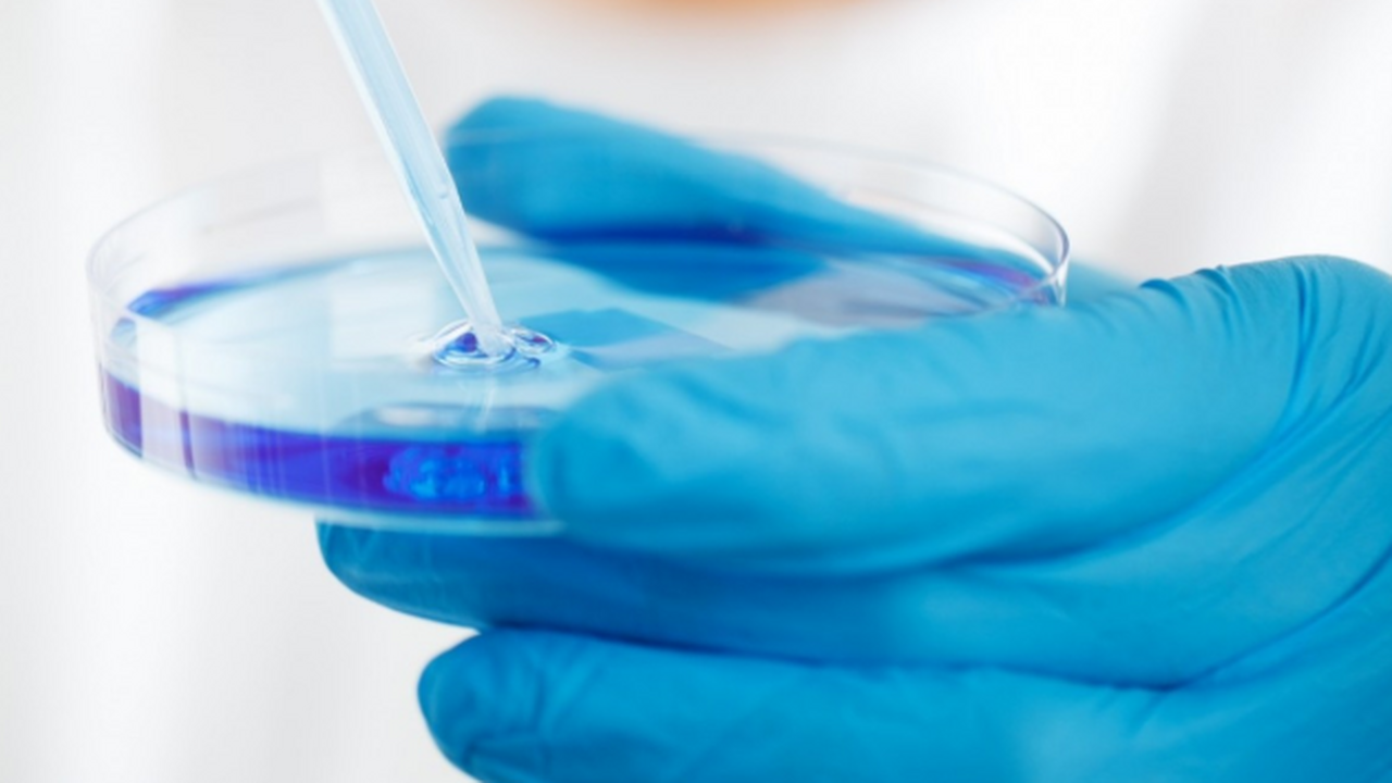 Ученые обнаружили биомаркер в крови, который по...