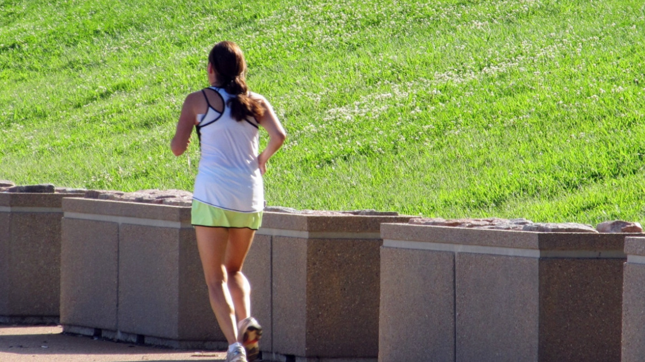 Ученые Гарвардского университета по итогам одно...