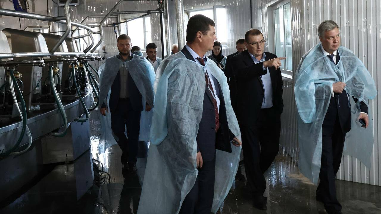 В Мелекесском районе Ульяновской области состоя...