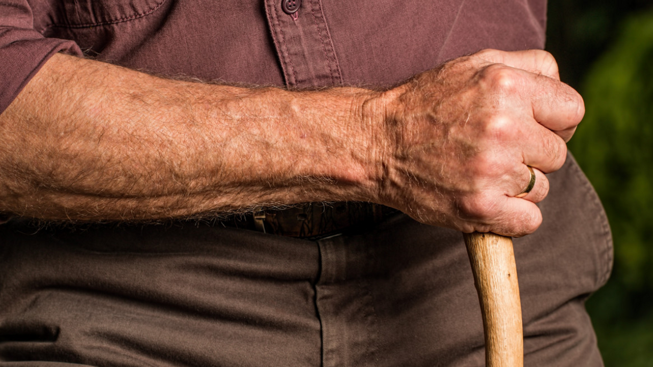 Исследователи выяснили, какие внешние и физиоло...