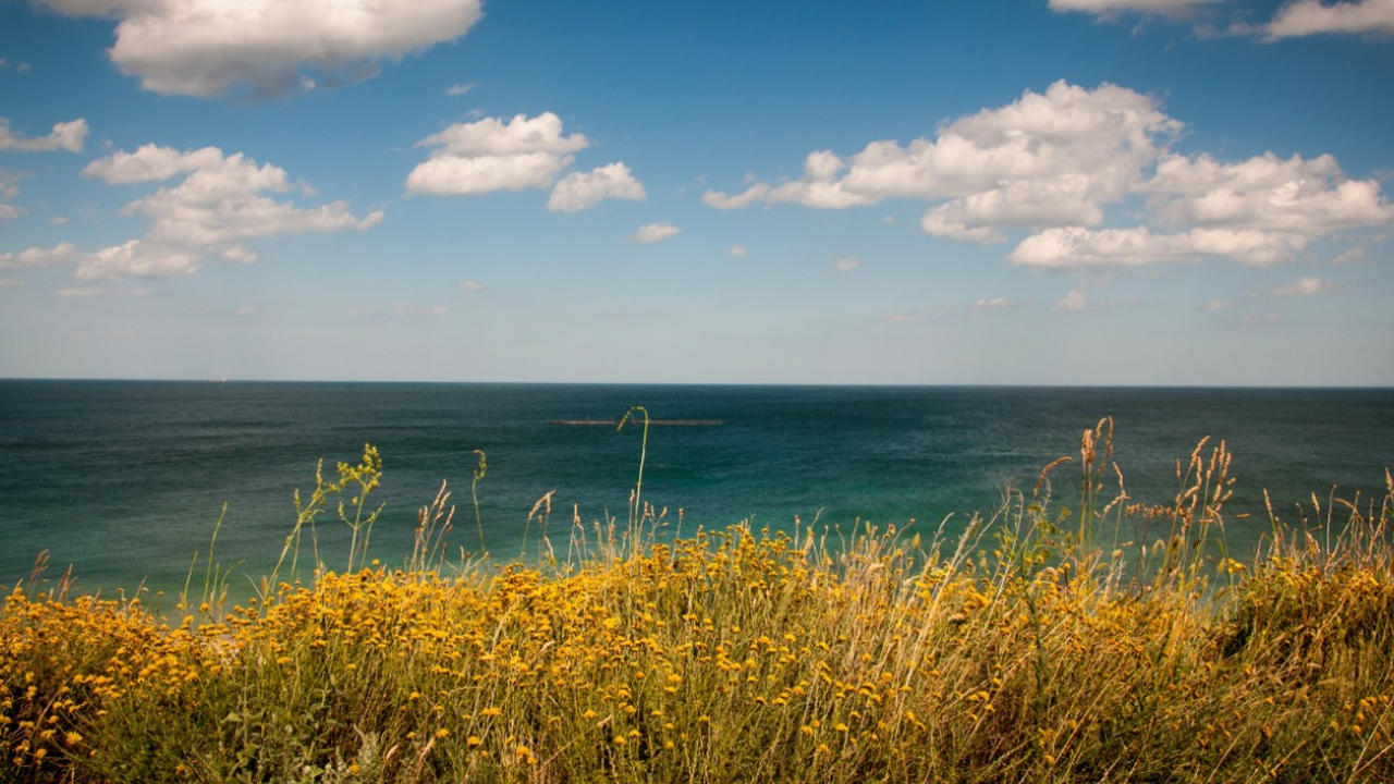 Международная группа исследователей обнаружила ...