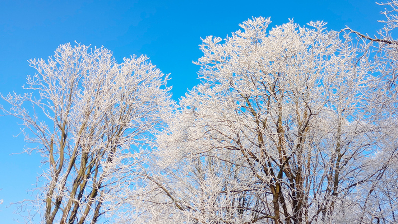 Гидрометцентр опубликовал свежий прогноз погоды...