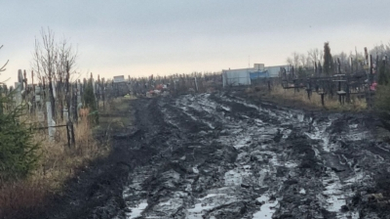 Жители Ульяновска столкнулись с серьезной пробл...