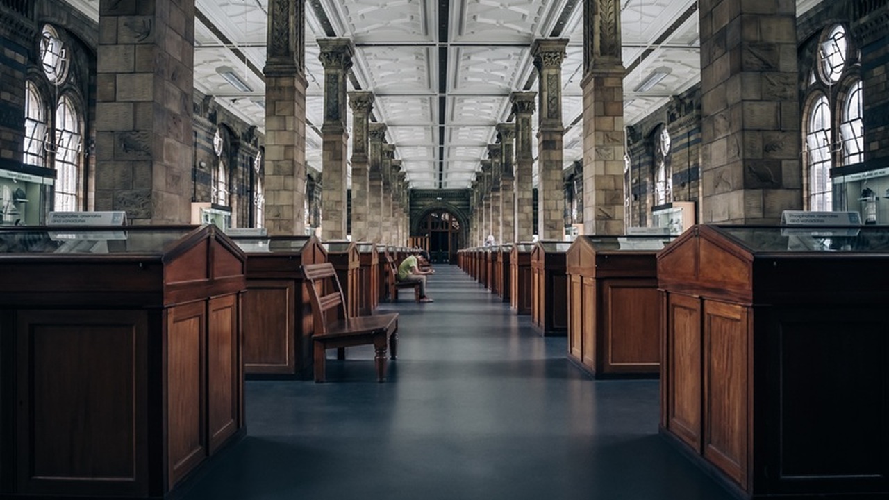 3 ноября Ульяновск станет частью всероссийской ...