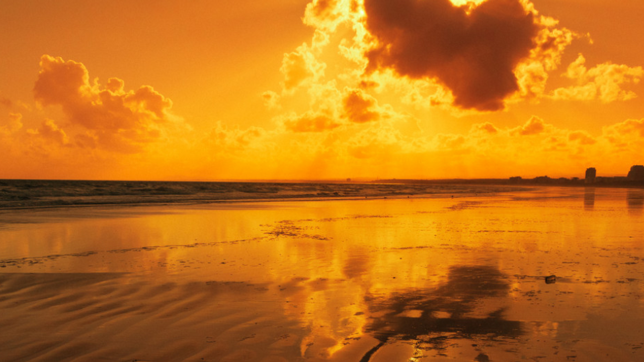 Учёные зафиксировали появление опасных для экос...