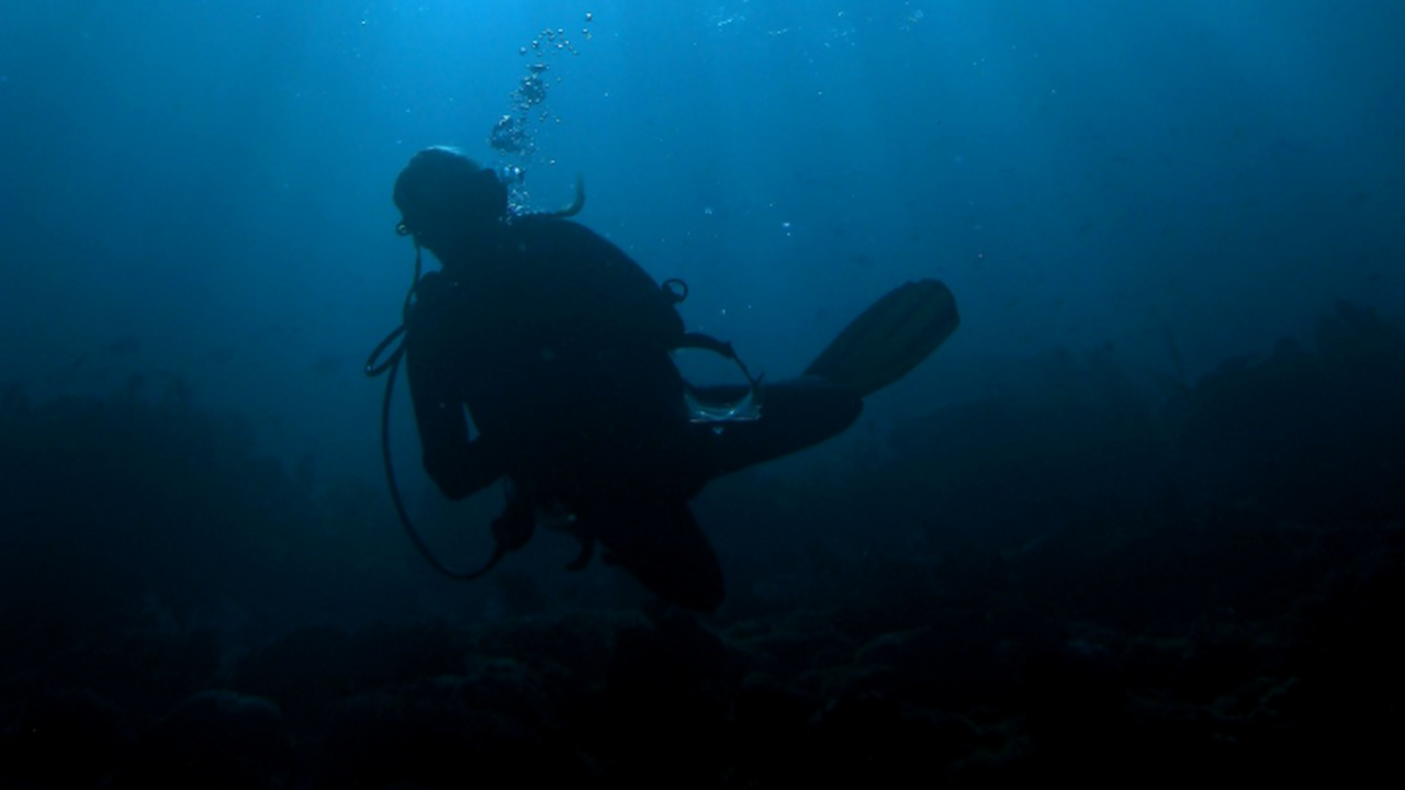 DM: дайверы изучают самую длинную подводную пещеру в мире Под райскими пляжами мексиканского полуострова ...