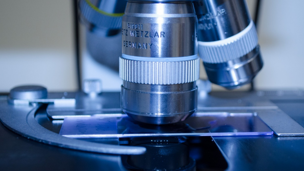 Российские биохимики создали ДНК-наномашины для уничтожения рака Биохимики из Университета ИТМО разработали ДНК-...