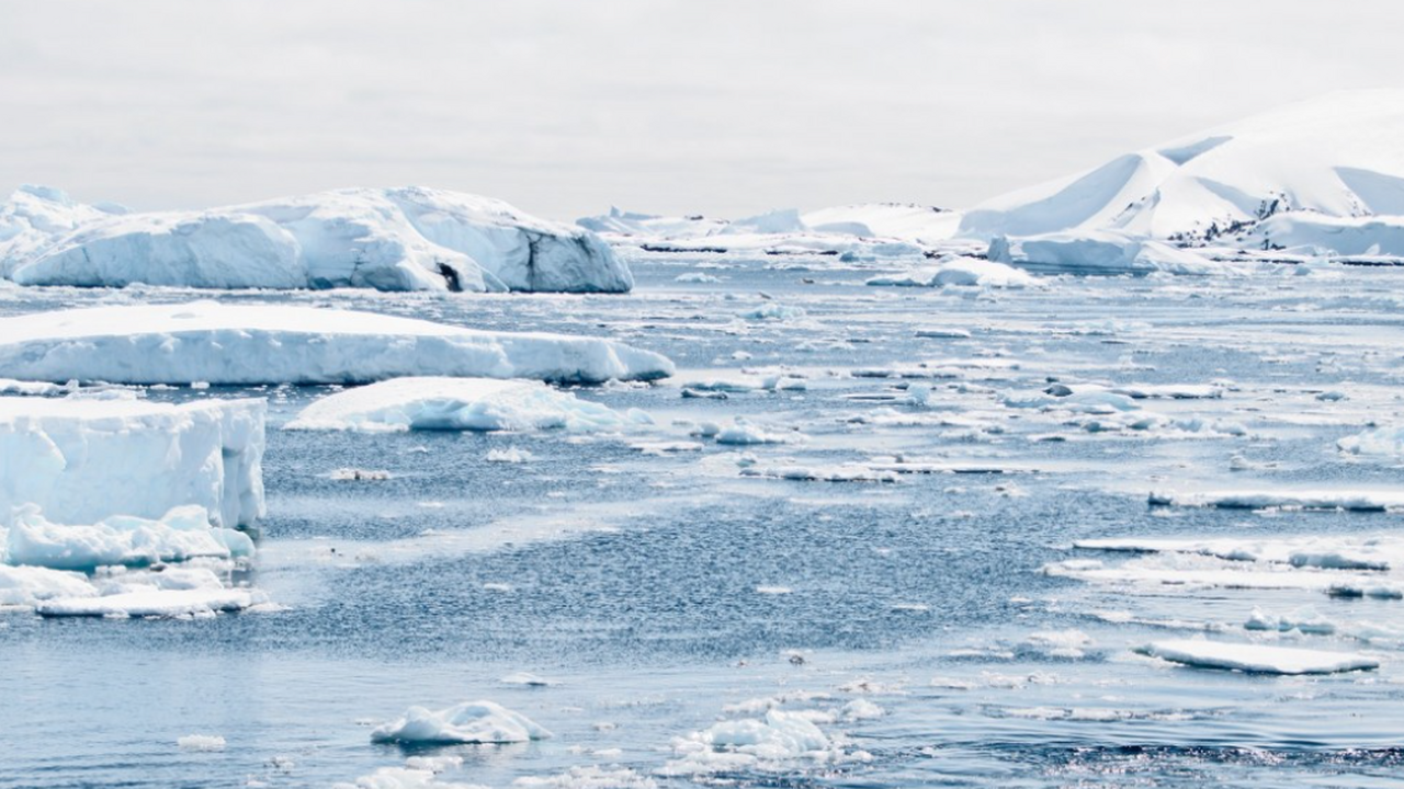 Ученые оценили возможные последствия изменения ...