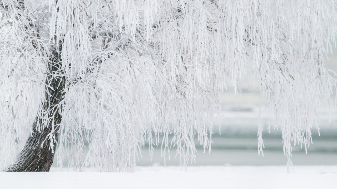 Синоптики прогнозируют аномально непредсказуемую зиму: чего ждать в начале 2026 года Синоптики прогнозируют, что зима 2025–2026 в Ро...