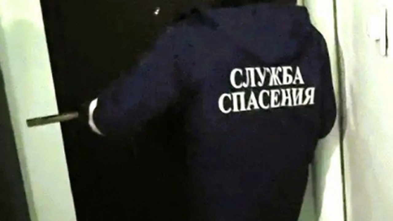 В Заволжском районе Ульяновска произошел случай...