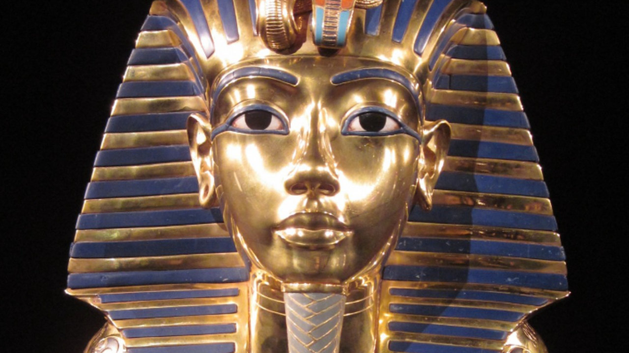 Учёные из Университета Южной Калифорнии провели...