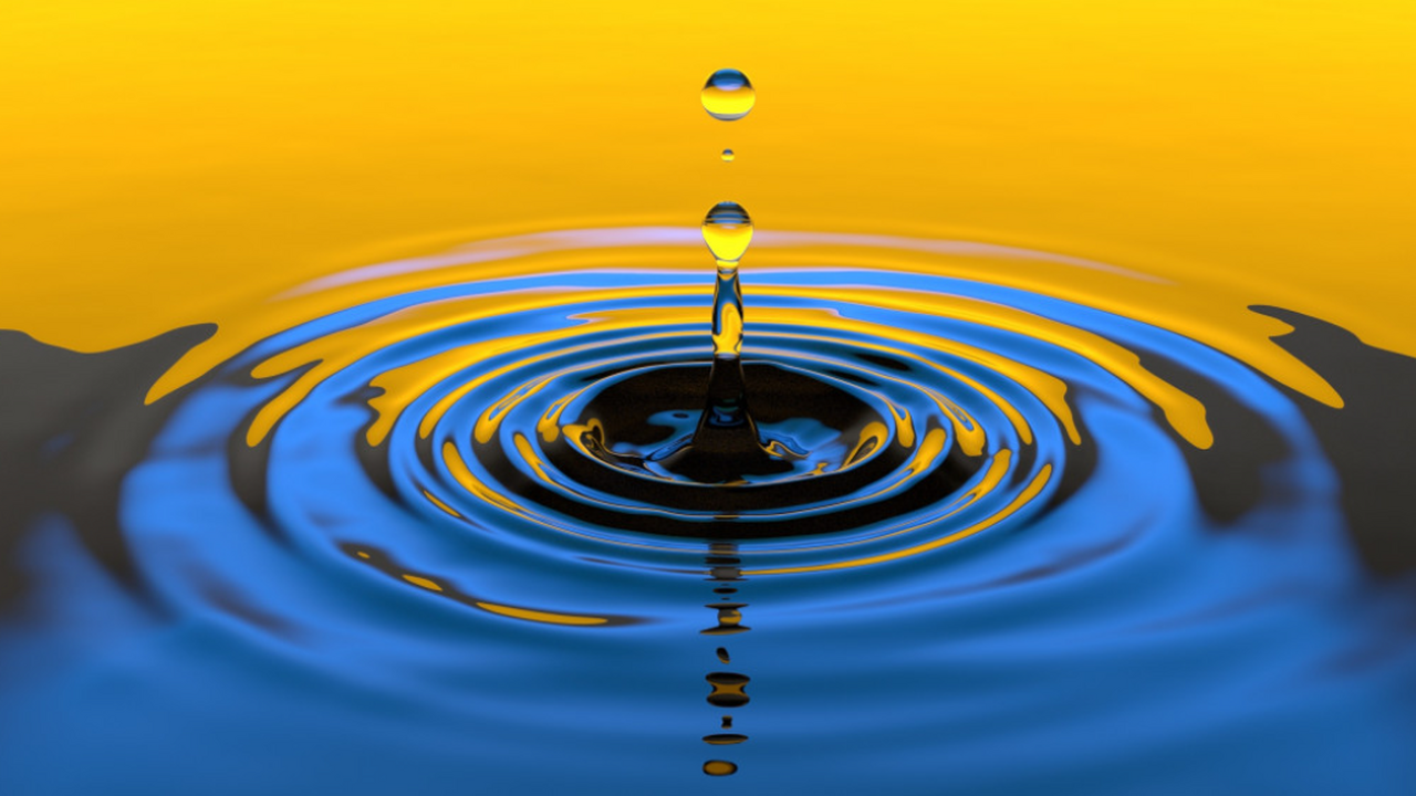 Биологи из МГУ, Томского госуниверситета и ФИЦ ...