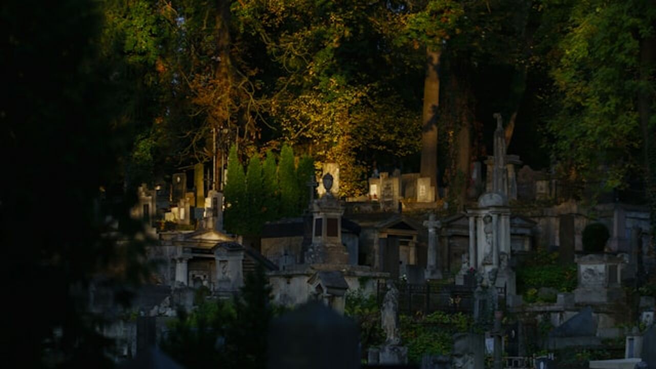 В Оренбурге в тестовом режиме начал работу серв...